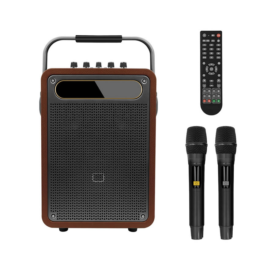 Nouvelle enceinte karaoké portable (enceinte spéciale pour la performance d'instruments de musique et le chant)